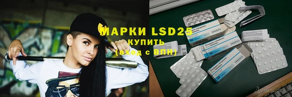 гашик Алексин