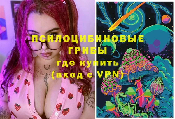 гашик Алексин