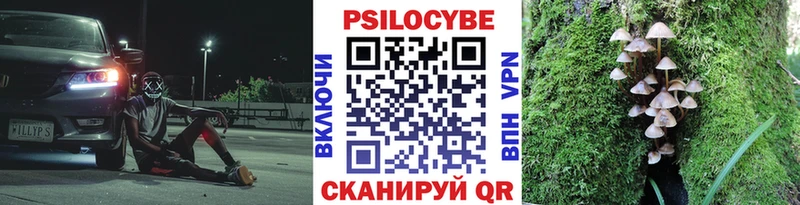 Галлюциногенные грибы мухоморы  сколько стоит  Каменск-Уральский 